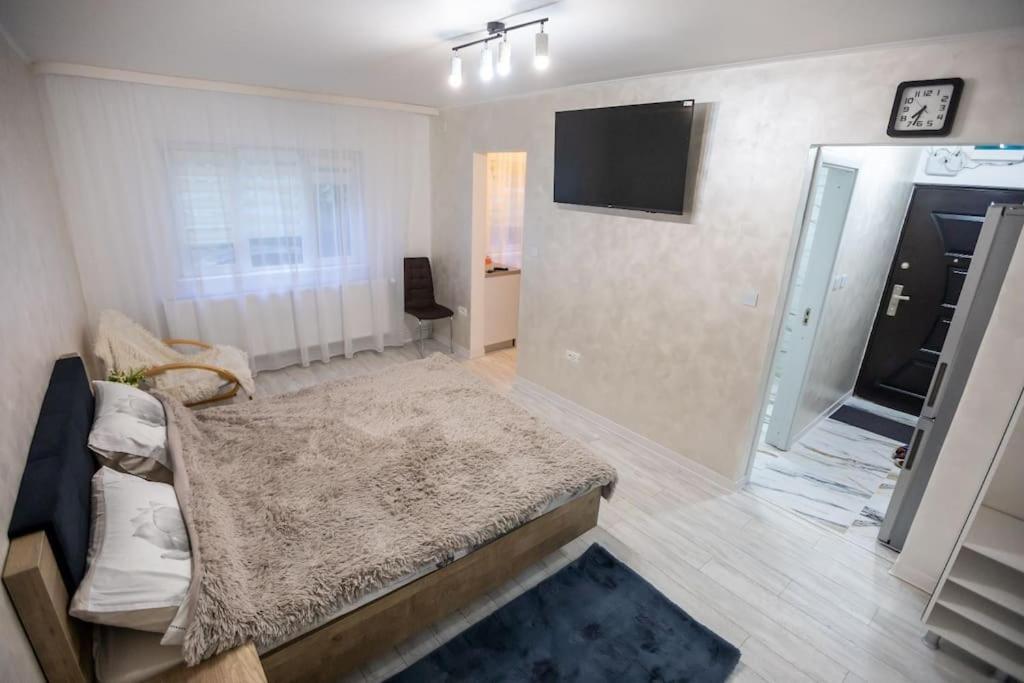 Garsoniera Central II Târgu Jiu 외부 사진